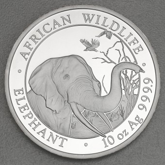Silbermünze 10oz "Elefant" 2018 African Wildlife (Somalia)