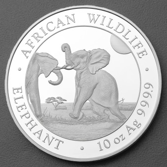 Silbermünze 10oz "Elefant" 2024  African Wildlife diff. (Somalia)