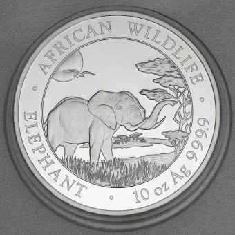 Silbermünze 10oz "Elefant" 2019 African Wildlife (Somalia)