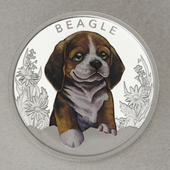Silbermünze 1/2oz "Beagle 2018" Puppies Serie (Tuvalu)