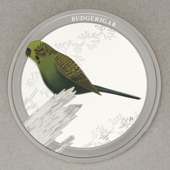Silbermünze 1/2oz "Budgerigar 2013" (PP) Birds of Australia