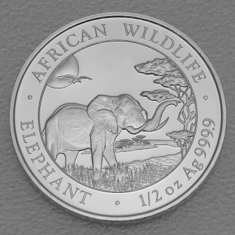 Silbermünze 1/2oz "Elefant" 2019 African Wildlife (Somalia)
