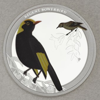 Silbermünze 1/2oz "Regent Bowerbird 2013" (PP) Birds of Australia