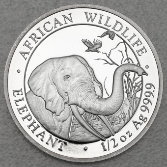Silbermünze 1/2oz "Elefant" 2018 African Wildlife (Somalia)