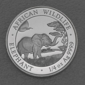 Silbermünze 1/4oz "Elefant" 2019 African Wildlife (Somalia)