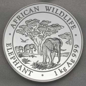 Silbermünze 1kg "Elefant" 2012 African Wildlife (Somalia)