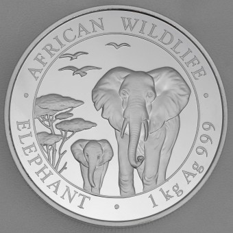 Silbermünze 1kg "Elefant" 2015 African Wildlife (Somalia)