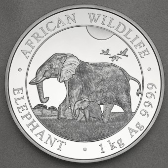 Silbermünze 1kg "Elefant" 2022 African Wildlife (Somalia)