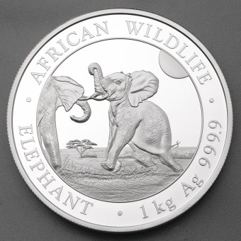 Silbermünze 1kg "Elefant" 2024 African Wildlife (Somalia)