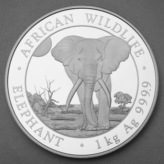 Silbermünze 1kg "Elefant" 2025 African Wildlife (Somalia)