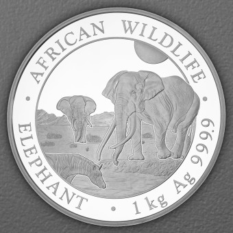 Silbermünze 1kg "Elefant" 2026 African Wildlife 19% (Somalia)