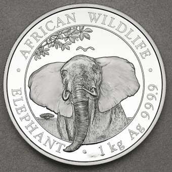Silbermünze 1kg "Elefant" 2021 African Wildlife (Somalia)