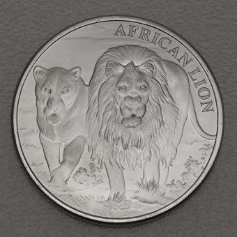 Silbermünze 1oz "African Lion 2016" (Congo) African Lion-Serie