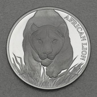 Silbermünze 1oz "African Lion 2017" (Tschad) African Lion-Serie