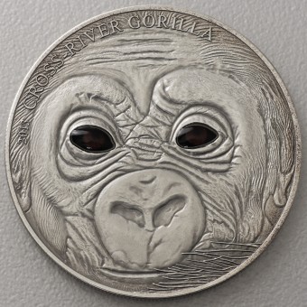 Silbermünze 1oz "Baby Cross River Gorilla" 2013 AF (Kamerun)