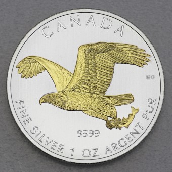 Silbermünze 1oz "Bald Eagle" 2014 (vergoldet) Birds of Prey (Kanada)