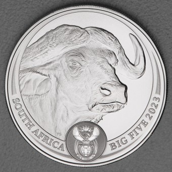 Silbermünze 1oz "Büffel 2023 - Big Five II" South Africa Big Five Series II