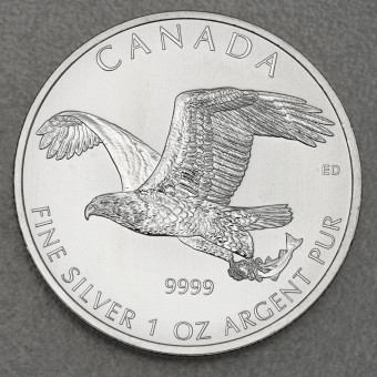 Silbermünze 1oz "Bald Eagle" 2014 Birds of Prey (Kanada)