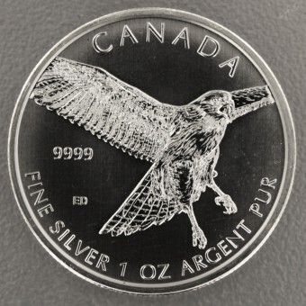 Silbermünze 1oz "Birds of Prey 2015 - Hawk" 