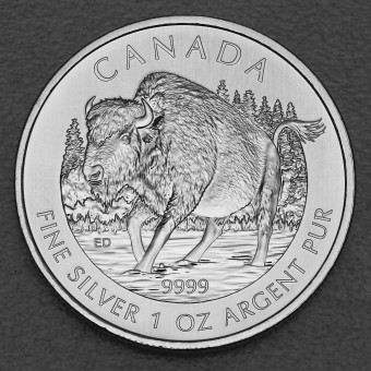 Silbermünze 1oz "Bison" 2013 Wildlife Kanada (Kanada)