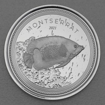 Silbermünze 1oz "Blue Girdled Angelfish" 2021 Eastern Caribbean 8 (Montserrat)