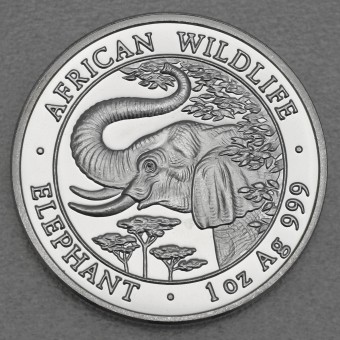 Silbermünze 1oz "Elefant" 2005 African Wildlife (Somalia)