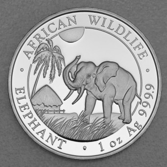 Silbermünze 1oz "Elefant" 2017 African Wildlife (Somalia)