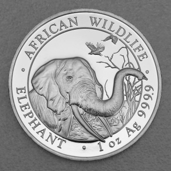 Silbermünze 1oz "Elefant" 2018 African Wildlife (Somalia)
