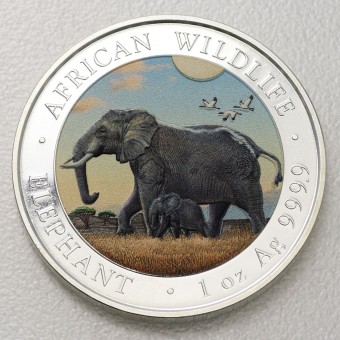Silbermünze 1oz "Elefant" 2022 (koloriert) African Wildlife (Somalia)