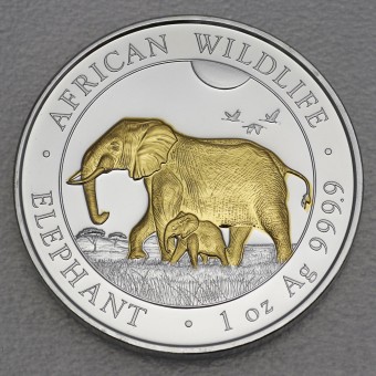 Silbermünze 1oz "Elefant" 2022 (vergoldet) African Wildlife (Somalia)