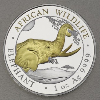 Silbermünze 1oz "Elefant" 2023 (vergoldet) African Wildlife (Somalia)