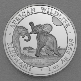 Silbermünze 1oz "Elefant" 2024 (PP/HR) African Wildlife diff. (Somalia)