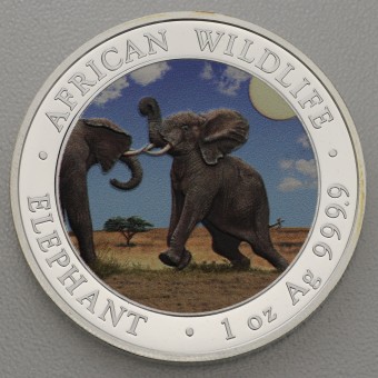 Silbermünze 1oz "Elefant" 2024 (koloriert) African Wildlife (Somalia)