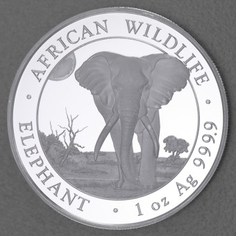 Silbermünze 1oz "Elefant" 2025 African Wildlife diff. (Somalia)