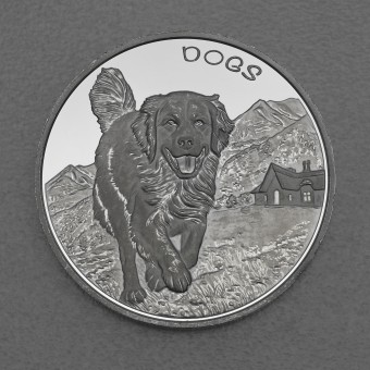 Silbermünze 1oz "Dogs" 2022 (Fidschi)