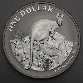 Silbermünze 1oz "Känguru" 2010 Royal Australian Mint (Australien)
