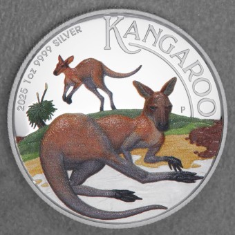 Silbermünze 1oz "Känguru" 2025 (PP/HR/koloriert) (Australien)