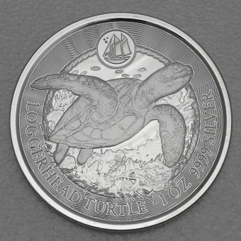 Silbermünze 1oz "Loggerhead Turtle" 2023 Cayman Sea Life (Kaimaninseln)