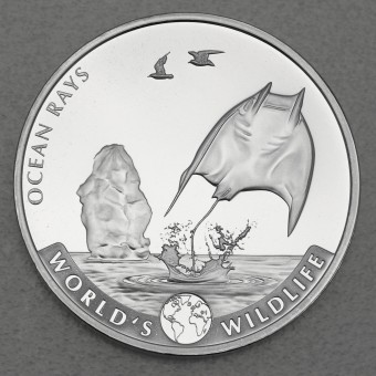 Silbermünze 1oz "Congo Manta Ray 2023" World s Wildlife Serie