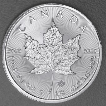 Silbermünze 1oz "Maple Leaf" aktueller Jahrgang (Kanada) 19%