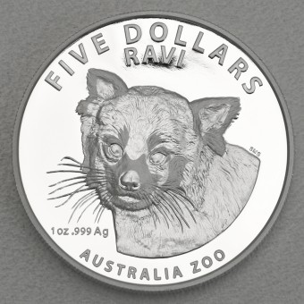 Silbermünze 1oz "Ravi - Roter Panda" 2018 (PP/HR) Australia Zoo (Australien)