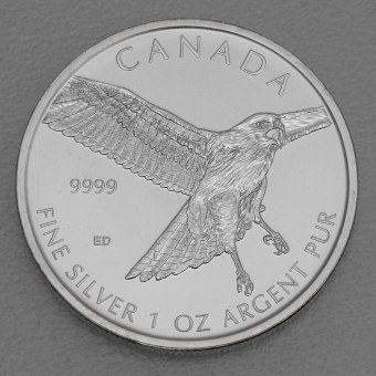 Silbermünze 1oz "Red-tailed Hawk" 2015 Birds of Prey (Kanada)