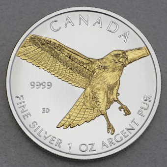 Silbermünze 1oz "Red-tailed Hawk" 2015 (vergoldet) Birds of Prey (Kanada)