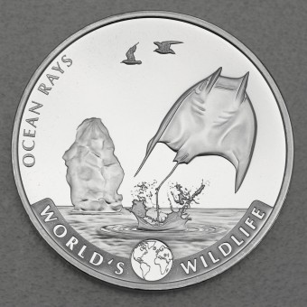 Silbermünze 1oz "Rochen" 2023 World's Wildlife 19% (Kongo)