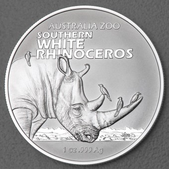 Silbermünze 1oz "Südliches Breitmaulnashorn" 2023 Australia Zoo (Australien)