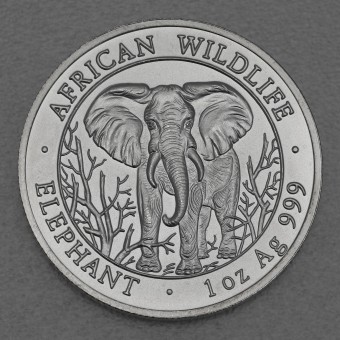 Silbermünze 1oz "Elefant" 2004 African Wildlife (Somalia)