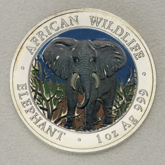 Silbermünze 1oz "Elefant" 2004 (koloriert) African Wildlife (Somalia)