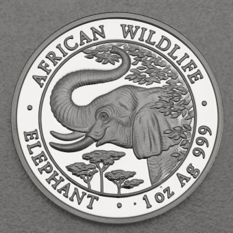 Silbermünze 1oz "Somalia Elefant 2005" 