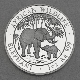 Silbermünze 1oz "Elefant" 2007 African Wildlife (Somalia)