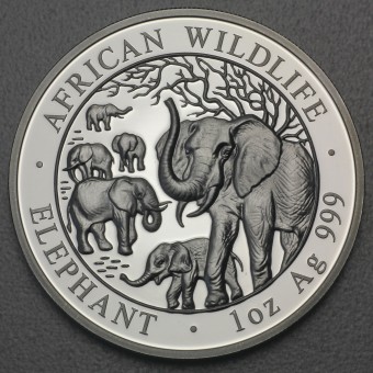 Silbermünze 1oz "Somalia Elefant 2008" 